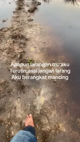 🥰#boncos #mancing #cestinggabus #cestingtoman  🐟🎣