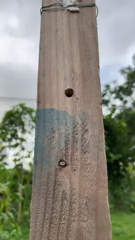 Smart Way to Secure Pipes With Wire and a Peg!#knot #rope #knottutorial #knottutorials #campinghacks #camping #knotsforfishing #knotsforbeginners #lifeskill #LifeHack #boyscouts #bushcraft #survivalskills #Outdoors #knotting #sheetbend #hitch #simpleknot #bestknot #knotsforcamping