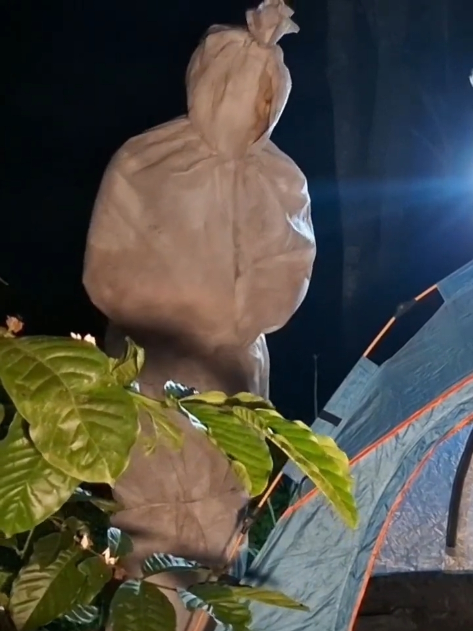 POCONG ASLI ADA CAP BADAKNYA WOIII....#ceritahoror #pendakian #viral #camping #hantu 