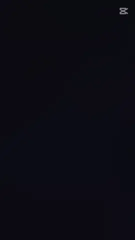 #CapCut 