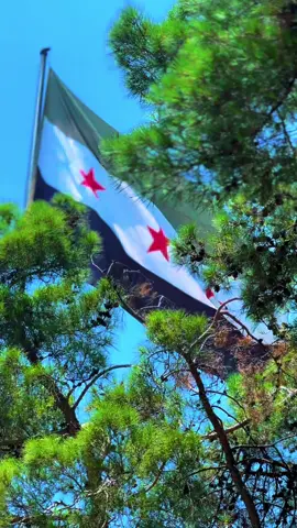 #الشعب_الصيني_ماله_حل😂😂 #سوريا🇸🇾 #دمشق_حلب_حمص_حماة_طرطوس_الاذقية #ديرالزور #البقعان_السيال_المشاهده_البوكمال #هجين #سوسة 🇸🇾