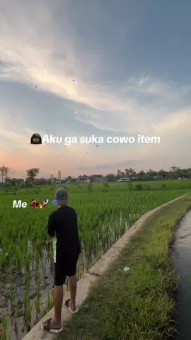 Ongkerrre#djavugenk #kite #sambitanlayangan 