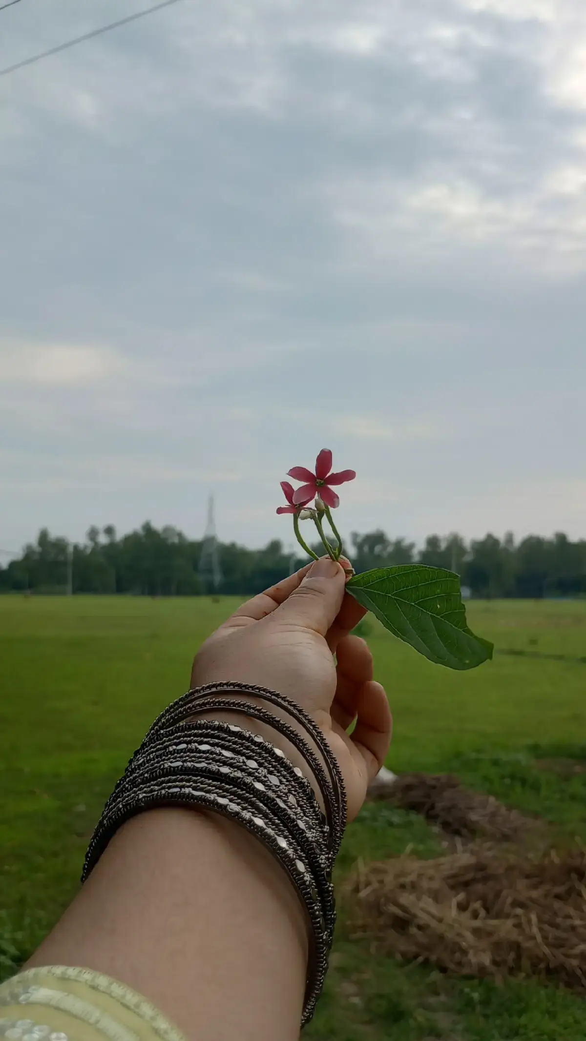 অপেক্ষার উপেক্ষা হয়,মায়া হয়ে যায় মোহ, প্রতিশ্রুতি মিথ্যে হয় দ্বিধায় ঘেরা দ্রোহ.....!!