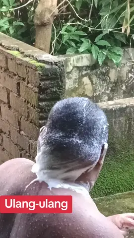 Salah satu ciri utama seorang autistic ialah melakukan sesuatu kerja atau aktiviti yang sama berulang kali . Spjg hidup saya membesarkan Ipang byk perkara yg sama saya terpaksa buat berulang dari kecil sampai sekarang, berpuluh tahun. Contohnya, meronda..tidak pernah miss walaupun sehari.  Begitu juga kalau Ipang melakukan sesuatu, dia akan lakukan benda yg sama berulang kali. Kalau dia mandi, biasanya saya yg akan sabunkan badan nya dan saya akan guna sabun yang berbentuk cecair. Sudah guna ,saya letak jauh dari tempat dia main air.  Kalau saya beli sabun buku, dia kan jadikan sabun itu sebagai satu barang mainan. Seketul sabun, mesti di habiskan dalam sekali mandi sahaja. Dia kan  sabunkan kepala dia, basuh dengan air n sabunkan lagi,basuh dgn air n proses itu akan berterusan sampai sabun tersebut habis,baru siap mandi. Ipang tak pandai untuk guna sabun pada seluruh badannya kecuali saya sebut kat mana dia kena sabunkan..tiyut maknanya ketiak, kunik maknanya ko*ek, kupit makna kopek@breast. Sebutan itu semua, saya sebut dengan betul pada asalnya tetapi dialih cara sebut oleh Ipang. Untuk dia faham apa yg saya maksudkan ,saya akan sebut mengikut caranya. Saya jarang belikan sabun buku sebab, pada Ipang..kalau 3 ketul saya beli, 3 ketul itu mesti dihabiskan dengan kadar  segera.  Kalau saya sempat sorok kan sebelum dia lihat dan bagi pada dia 1 ketul sahaja, dia kira ok. Tapi kalau dia nampak saya beli 3, bagi dia 1 dan 2 lagi saya sorok kan..dia akan cepat2 habiskan seketul dan terus hah..hah..tunjuk pembungkus sabun yg dah dia guna itu pada saya..maksudnya..bagi sini lagi 2 ketul. Kalau tak bagi..selagi tak dapat, dia kan berdiri menghalang saya bergerak kemana2 sehingga saya kata ok dan ambilkan sabun tersebut untuknya. Dan dia akan letak sabun tersebut di tempat yg dia boleh nampak untuk proses mandi yg berikutnya.Sekali lagi, kalau dia turun mandi kepalanya akan jadi mangsa sabun.  Abaikan kolah mandi dia yg berlumut tu, dah tak kuasa saya nk bersihkan..lebih baik saya rehatkan diri time dia sibuk main air. Aktiviti mandi pagi sekejap tadi. 