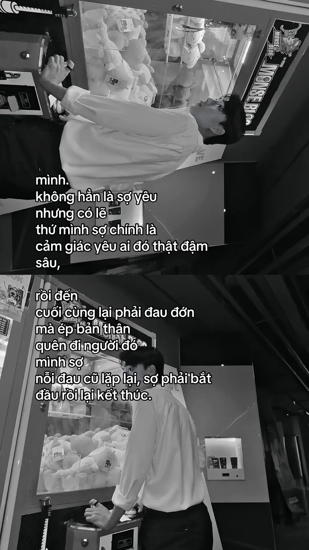 #TL312 #fyp #foryou 