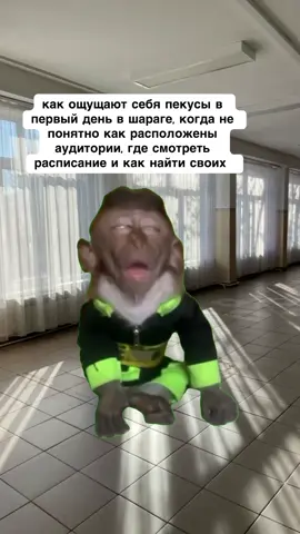 Покупайте готовый проект только в нашем тг:  individualnyiiproekt 🤍📲  #индивидуальныйпроект #проектдляшколы #итоговыйпроект #индпроект #индивидуальныйитоговыйпроект #проект #проект9класс #проект10класс #пишупроектыназаказ #пишупроект #напишупроект #помощьшкольникам #помогусучебой #напишуреферат #пишуреферат #пишуитоговыйпроект #итоговыйиндивидуальныйпроект #готовыйпроект #школьныйпроект #готовыйиндивидуальныйпроект #помощьсучебой #проектдляшколы #индивидуальныйпроект9класс #презентацииназаказ #рефератыназаказ #школьныйпроект #готовыеиндивидуальныепроекты #купитьпроект 