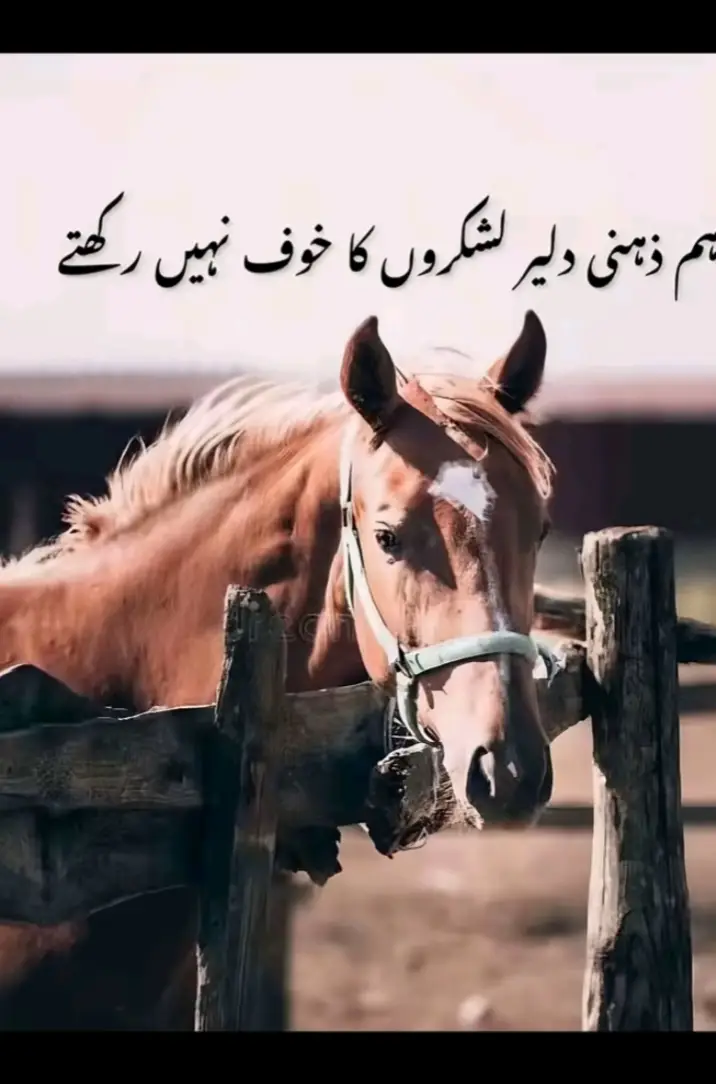 HAN G 😎