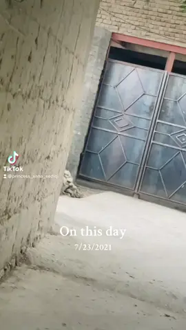 #onthisday 