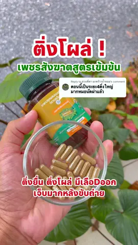 เป็นริดซี่ อย่าปล่อยให้อาการรุนแรงเรื้อรังนะครับ #เพชรสังฆาต #ริดสีดวงสมุนไพร #ริดสีดวง 