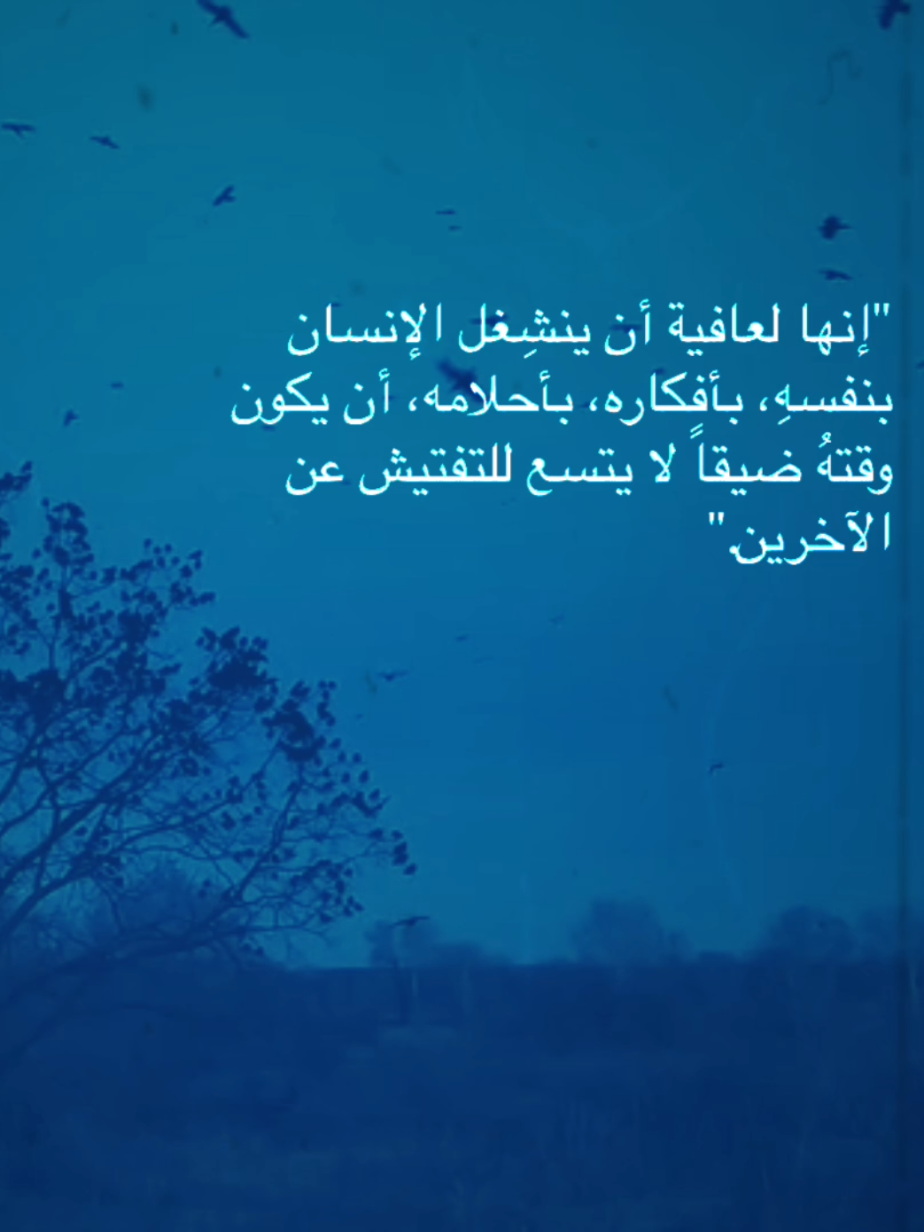 🩵🩵،  #fpy #اقتباسات #foryou #follow #explore #حب #هدوء #iraq #like #ftypシ 