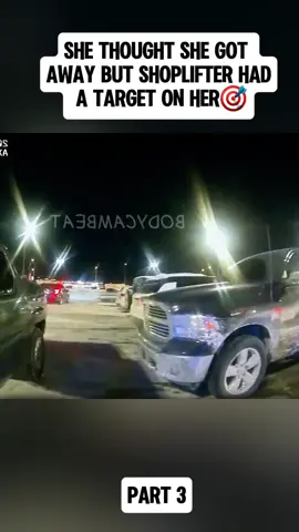 #cops #copsoftiktok #fyp 
