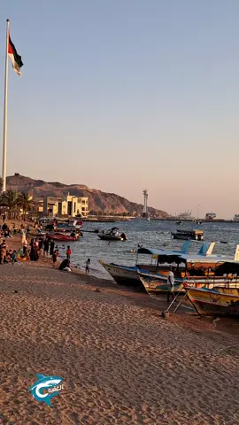 #شط_الغندور #العقبه🇯🇴 #سمسمية 