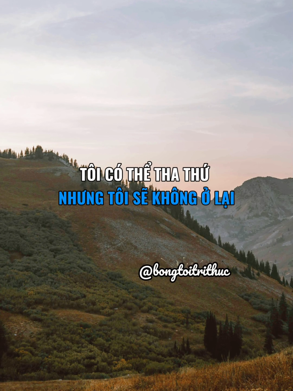 Tôi không bước thêm bước nào  về phía kẻ từng khiến mình quay lưng.. #bongtoitrithuc #tamlyconnguoi #fyp 