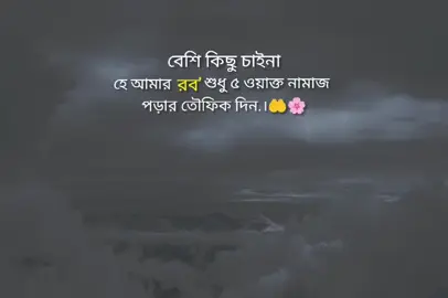 বশে কিছু চাইনা। 'হে আমার রব' শুধু ৫ ওয়াক্ত নামাজ পড়ার তৌফিক দিন.।🤲🌸🥀 #foryou #trending @TikTokBangladesh### @TikTok