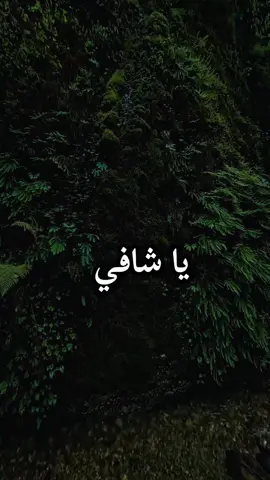 #اللهم_الشفاء_العاجل_لمرضانا_ومرضاكم🤲🏼 #ربي_لاتذرني_فردا_وانت_خير_الوارثين  #اللهم_أرح_قلبي_بما_أنت_به_أعلم🤲🤲❤️ 