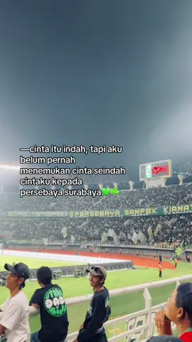 #foryoupage #persebayasurabaya #greenforce #fyp #persebayafans 