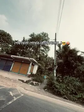 মনে রাখিও! ⛵️#bsl #shikhmujiburahman #shikhhasina #bangladeshstudentleague #awamileague 
