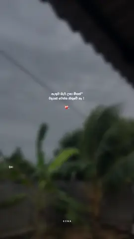 වදයක් වෙන්න හිතුවේ නෑ ! 🙂💔
