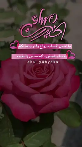 #مساء_الخير #مساء_الحب_والسعاده 
