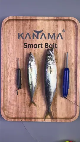 Kanama Smart Bait - Revive Dead Bait Fish. Girls! This is for fishing only!! . 🛒www.kanama.com . #kanama #smartbait #釣り #fishing #fisherman 