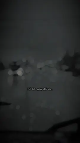 #CapCut 