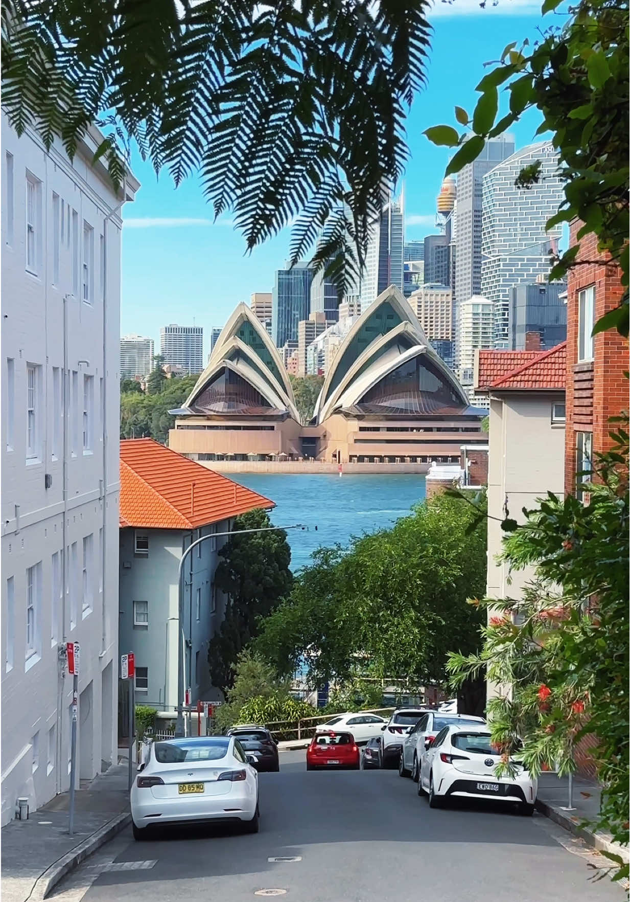This will never stop feeling like magic!✨🥺 #sydneyskyline #sydneyharbour #sydneyoperahouse #kirribilli #feelnewsydney #sydney #australia 