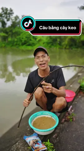 Câu mồi tổng hợp bằng cây keo #haotrocvlog 