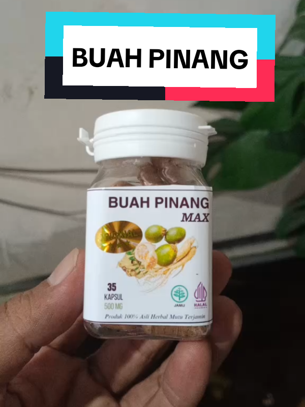 #buahpinang #buahpinangmuda #rekomendasi#original #buahpinang #buahpinangmax 