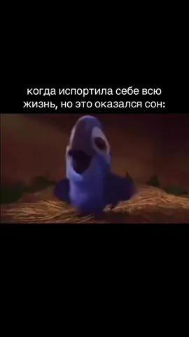 жиза?? // тгк:просто вася👾