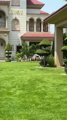 #CapCut 