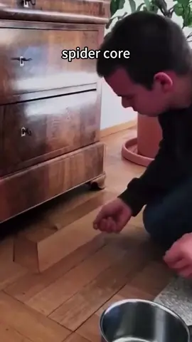 Spider core #spider #spiders #funny #funnyvideos #stimulate 