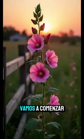 Buenos días bendiciones a todos #fypage #fy #oracionespoderosas #paratiiiiiiiiiiiiiiiiiiiiiiiiiiiiiii #foryou #creatorsearchinsights #creadordecontenido #contentcreator #cristoteama #follow #foryourpage 