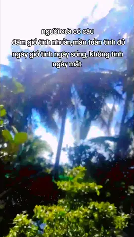 #xuhuong #tiktok 