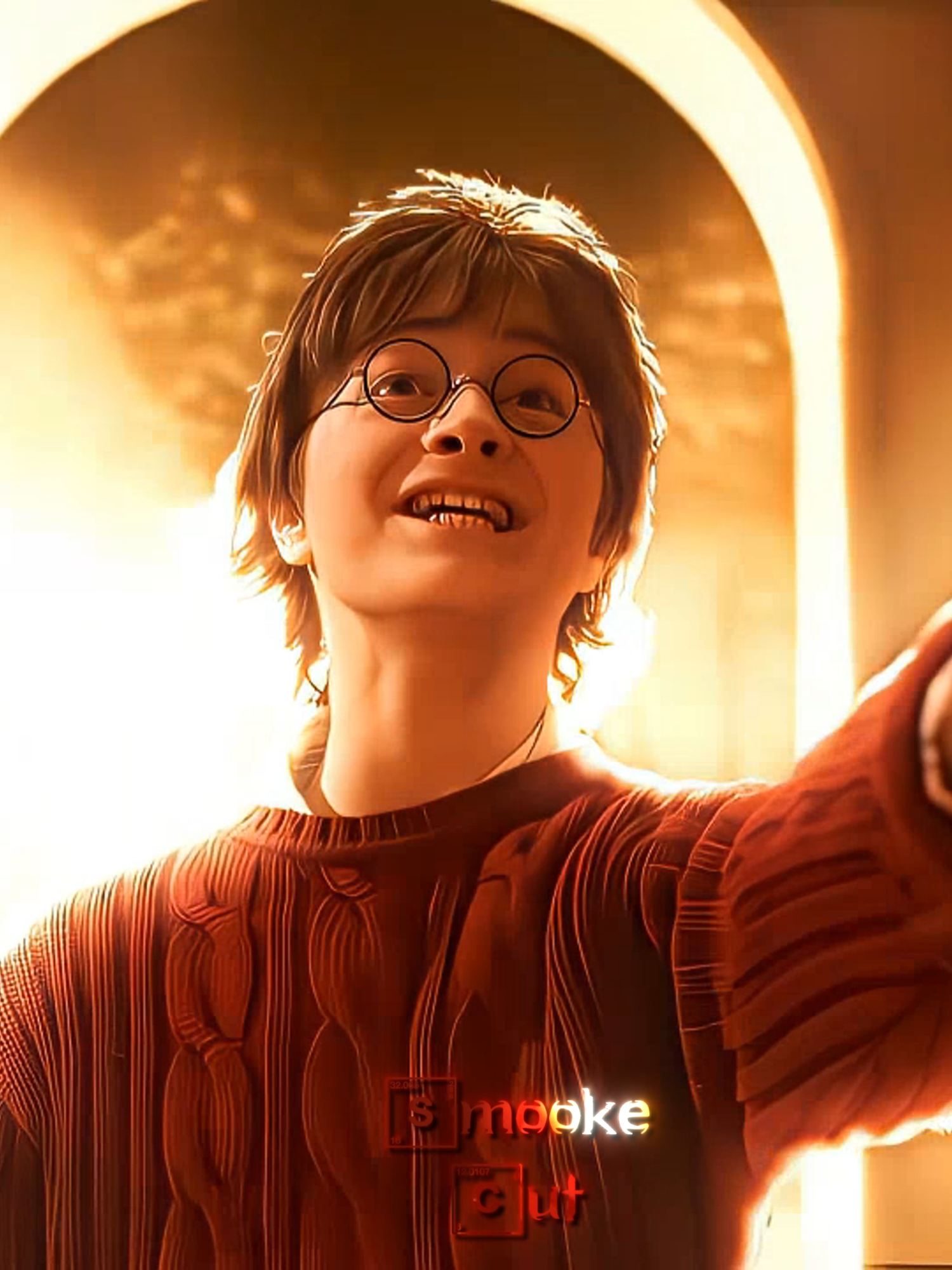 Harry Potter Edit  #harrypotteredit #harrypotter #editssss #edit #tiktokedit #fyp