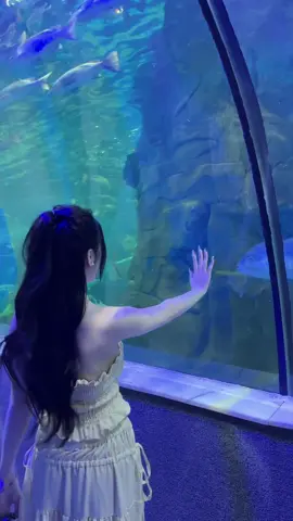 Họ từng là người…