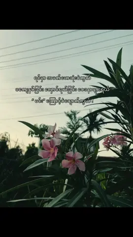 ဆိုင်သူလေးကိုကြူးချင်လို့ ဒီသီချင်းကိုတကယ်ကြိုက်နေပီ #💔 #fyp #foryou #foryoupage #fypシ゚viral #fypシ #ရောက်ချင်တဲ့နေရာရောက်👌 #လက်ပါရင်လိုက်ခ်ပေးရန်🤓 #စာတို 