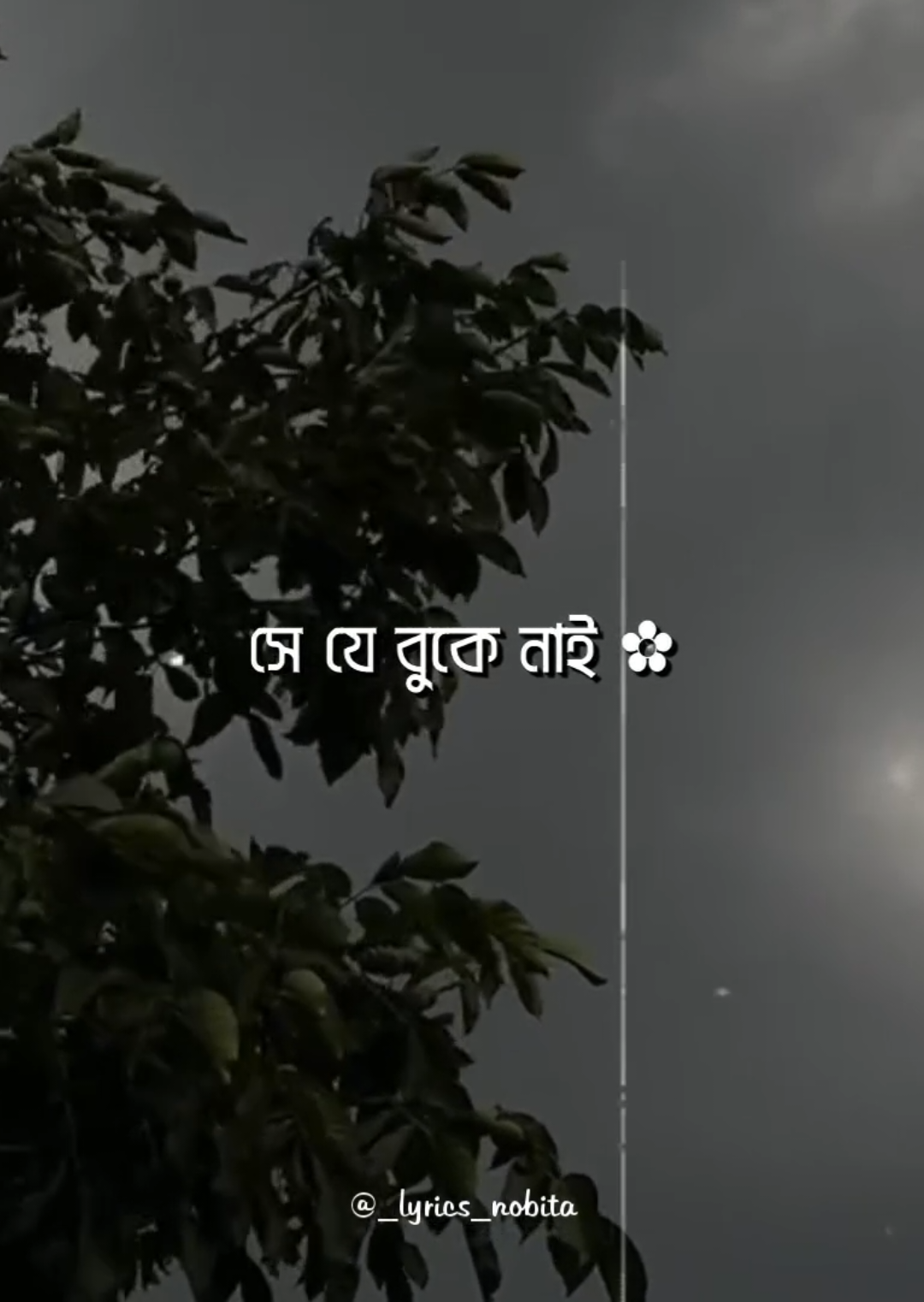 - ভাবতে ভাবতে তারে আমি ❤️‍🩹 - চোখ বুজিয়া জড়াই ধরি 🌸 . . #foryou #lyrics #_lyrics_nobita_ #exe_shafi #aesthetic 
