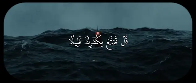 #احمد_بن_طالب #سورة_الزمر #قران 