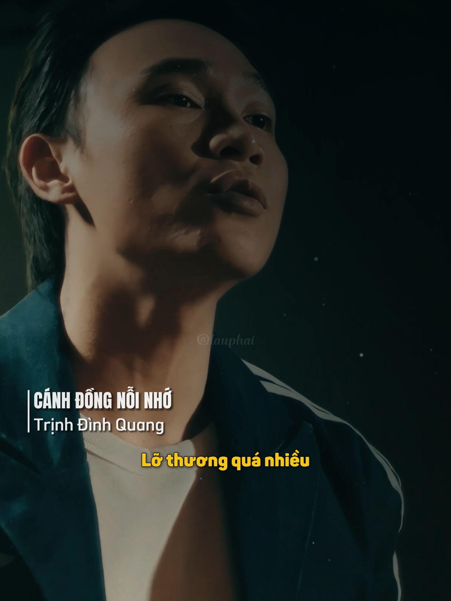 Chìm vào dư âm là năm tháng đong đầy vết thương, lỡ thương quá nhiều #canhdongnoinho #trinhdinhquang #lauphai #lauphai25 #namviet