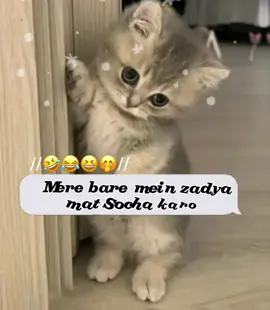 😂🤭🤣😆#foryou 