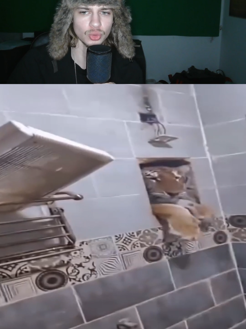 #wladi #meme #streamclip #fyp #fürdich #clipfarm #deutschmemes 