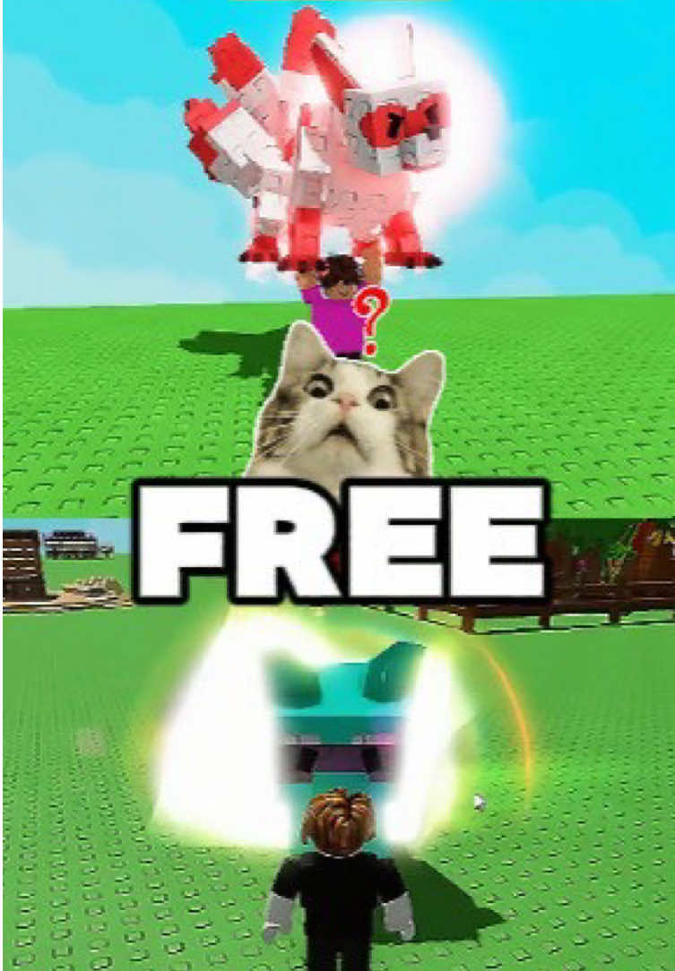 How to get RACCOON or KITSUNI in Grow A Garden #growagarden #growagarden🥒🌶🍅 #robloxgames #robloxfyp #robloxmethod #raccoon #kitsuni #goviral #foruyou #fyp