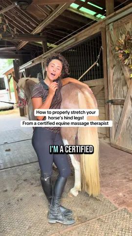 What stretch do you want to see next??  #fyp #equestrian #foryoupage #fyppppppppppppppppppppppp #horsegirl #viral #viralvideosofficial #fypdongggggggg #horsetok #horsesontiktok #equestrianlife #giant4yearold #horselife #horse #horses #fypシ #fypp #horse 