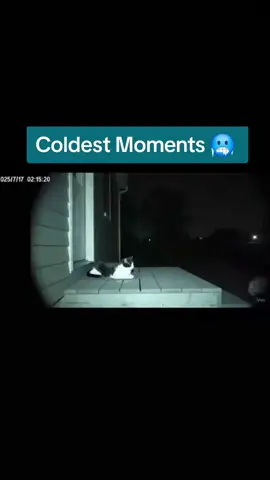 #cold #coldestmoments #fyp #viral 