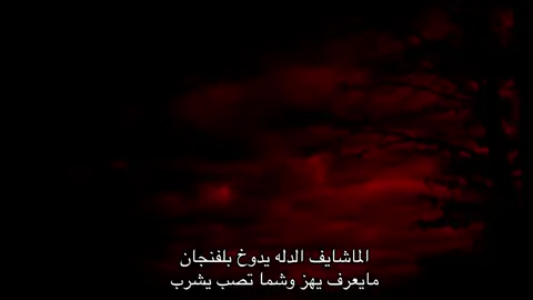 وشما تصب يشرب 🔥 #عباراتكم_الفخمه📿📌 #fyp #fyppppppppppppppppppppppp #شعراء_وذواقين_الشعر_الشعبي #شعراء #bdtiktokofficial #شعراء_وذواقين_الشعر_الشعبي #foryoupage 