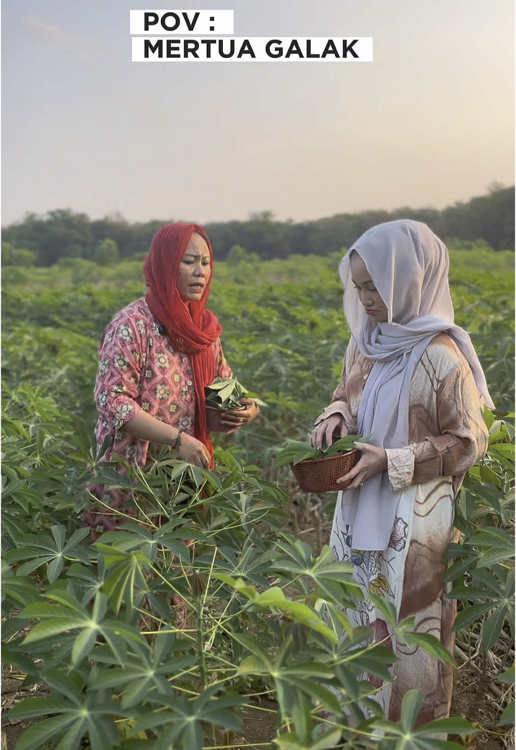 Mertua galak #riskiproject #lampungpride #lampungutara #fyppppppppppppppppppppppp #fypシ゚ #lampungtiktok #lampung #fypシ゚ #fypdongggggggg #lembahbambukuning @Cherly Desmalia @Deni Yanti Zubir 