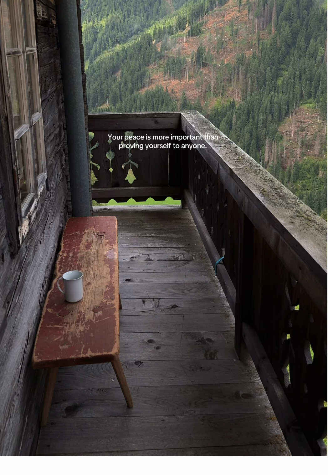 🕊️🤍 #peace #mindset #mountains #alps 
