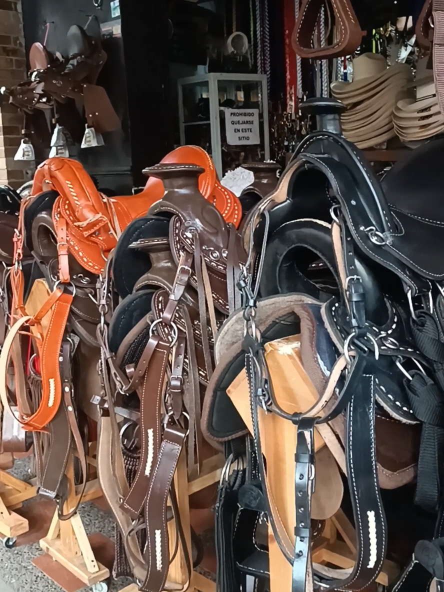 Ejemplos de sillas para montar a caballo🤠🐴😍. #rockycueros #monturasparacaballos #tiendaequina #delcaballista 