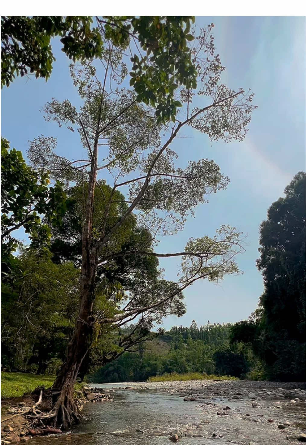 The dreamiest campsite in Sabah… #minakitcampsitekotabelud really gave us the healing and respite we needed @Simon Chia 