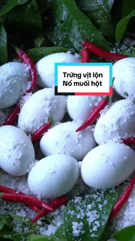 Luộc trứng vịt lột mà không cần nước, mọi người có tin được không, nay em sẽ đem trứng lộn đi nổ muối hột cho cô chú anh chị xem nhé. #trungvitlon #food #amthuc #LearnOnTikTok #mayhang 